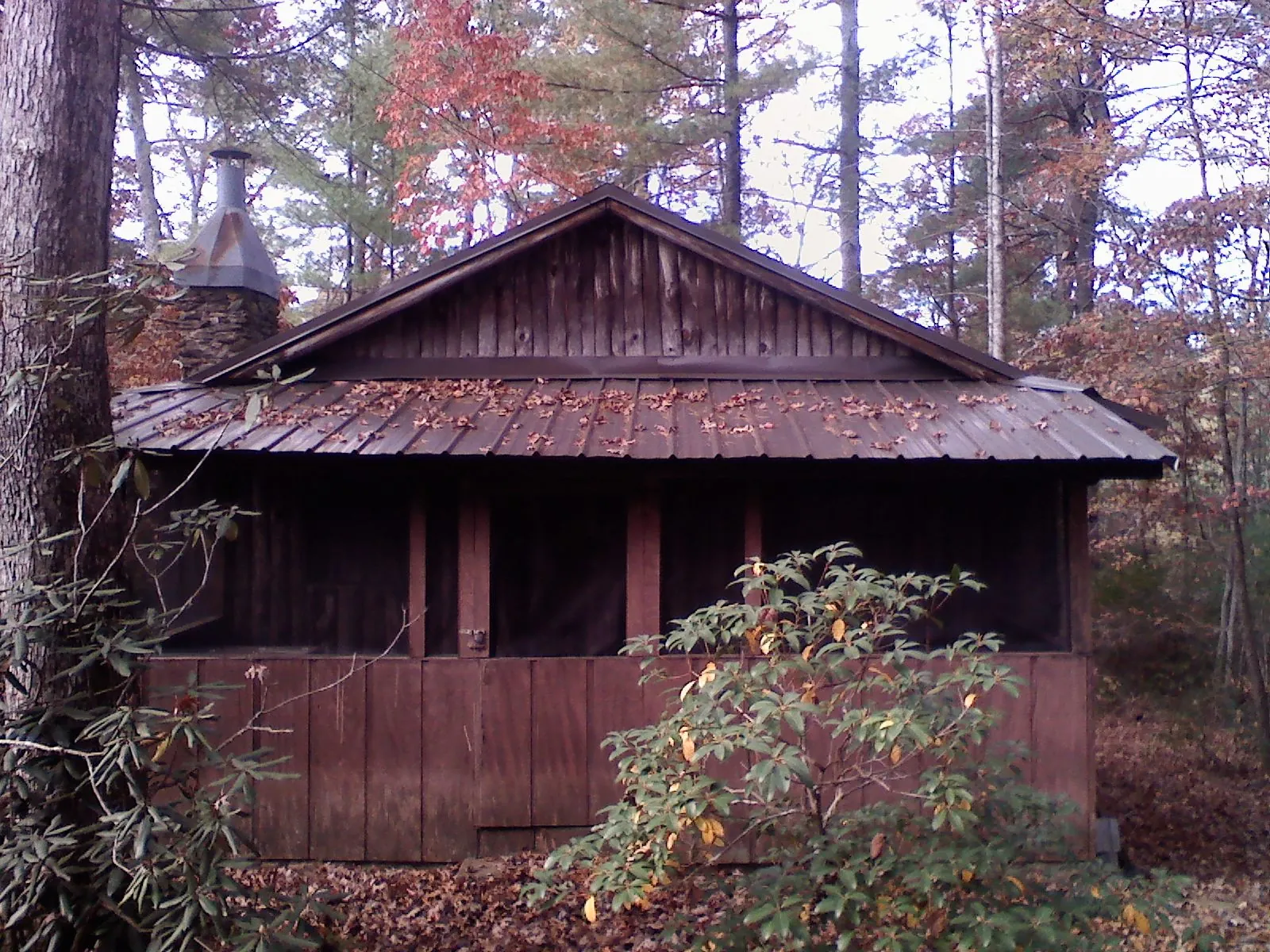 Metal roof over the screened porch of a rustic cabin in Mechanicsville
